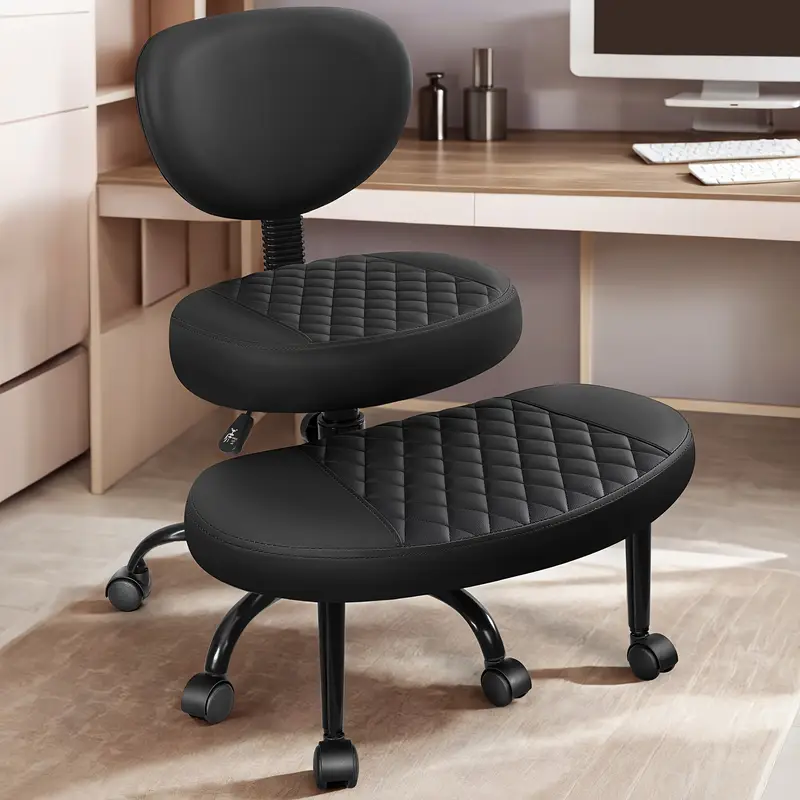 Primy Ergonomic Office Chair with Lumbar Support